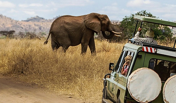 3 Days Safari to Camp Ruaha