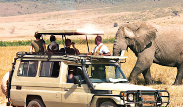 3 Days Safari to Serengeti National Park