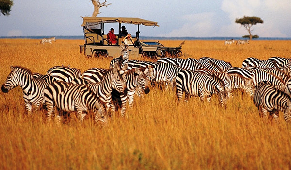 3 Days Safari to Ngorongoro Crater