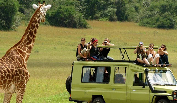 3 Days to Manyara, Ngorongoro & Tarangire