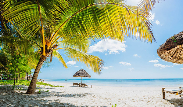 3 Days Safari to Mafia Island