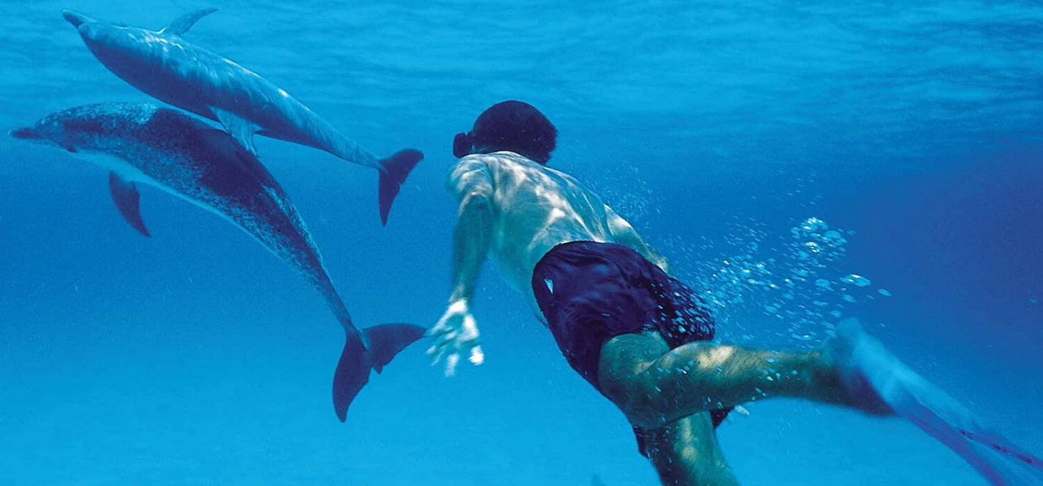 Kizimkazi Dolphin Tour