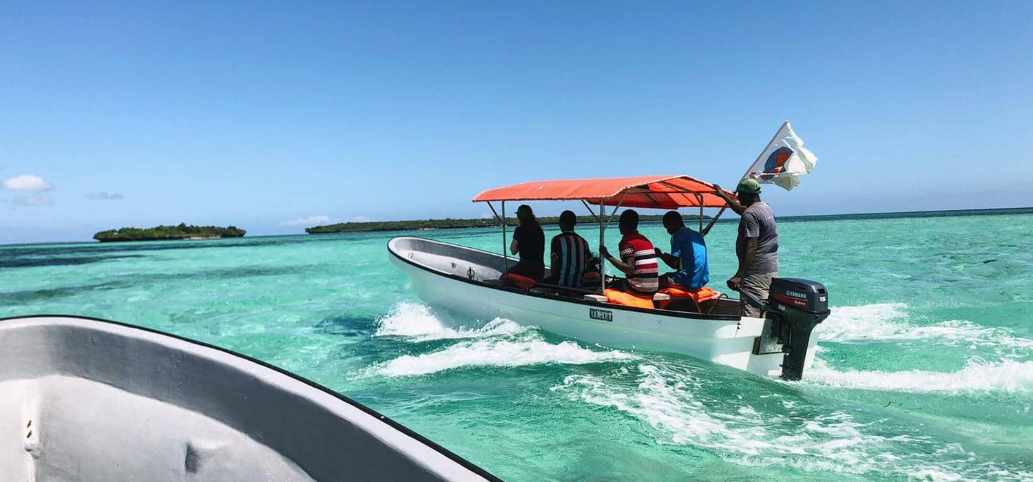 Kizimkazi Dolphin Tour