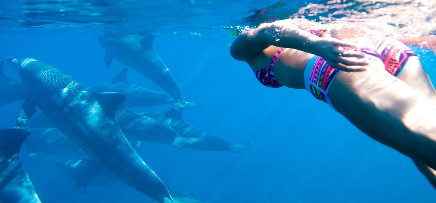 Kizimkazi Dolphin Tour