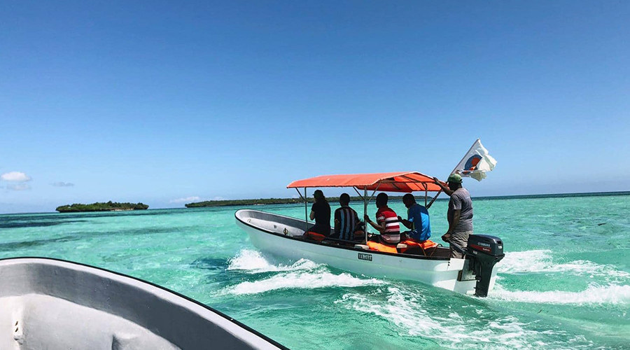 Kizimkazi Dolphin Tour