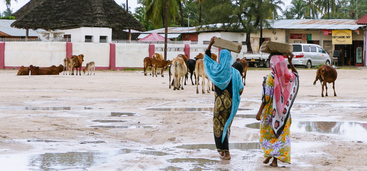 Nungwi Cultural Village Tour