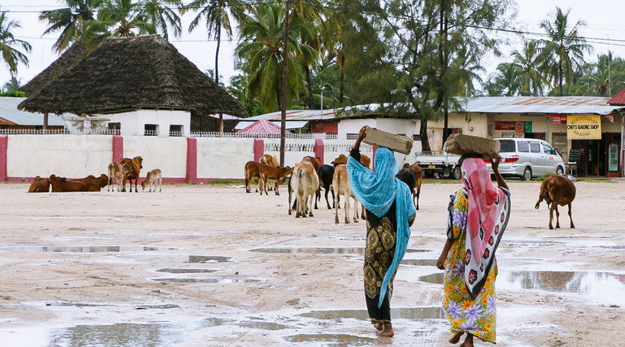 Nungwi Cultural Village Tour