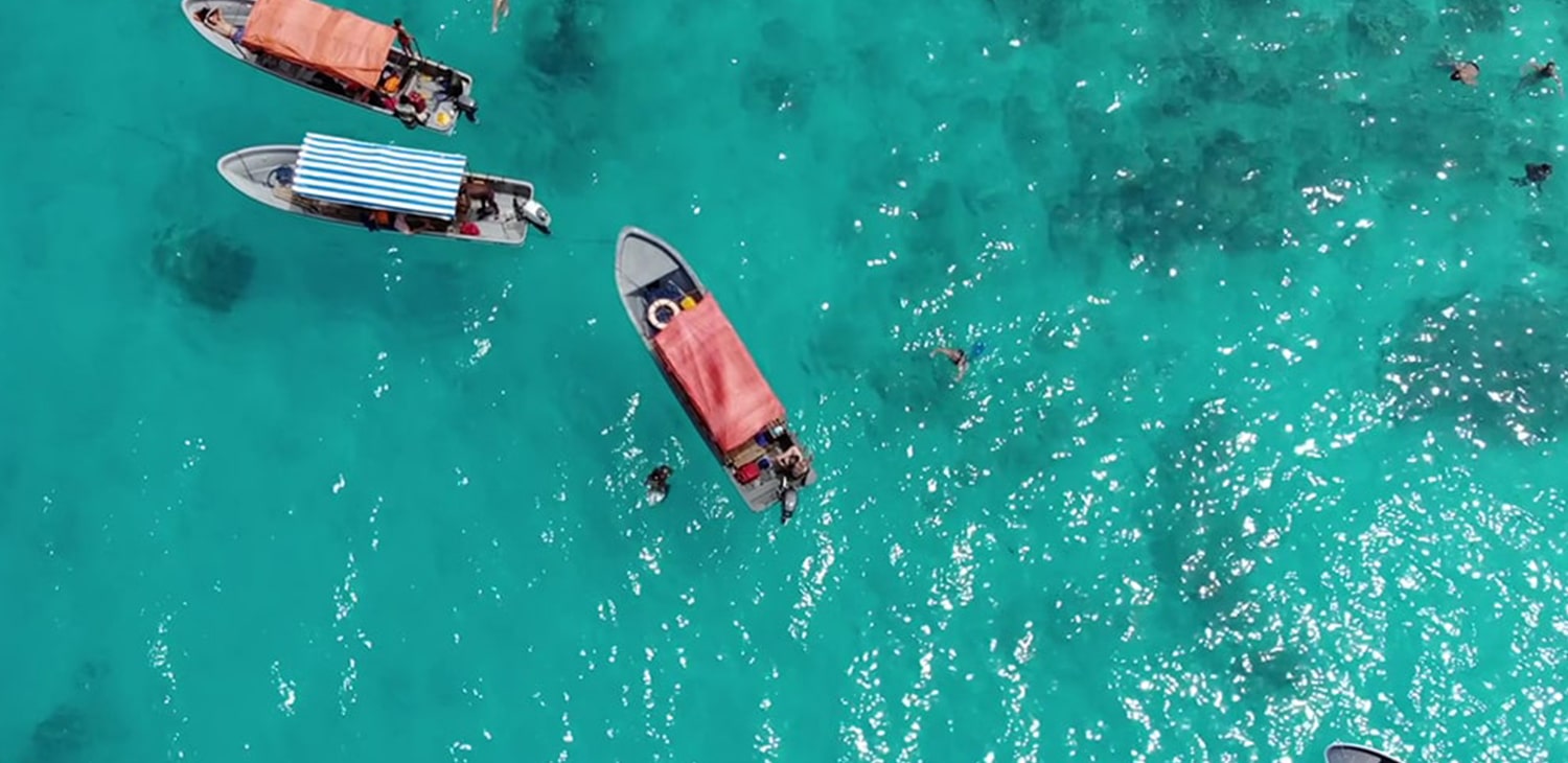 Snorkeling at Mnemba Atoll