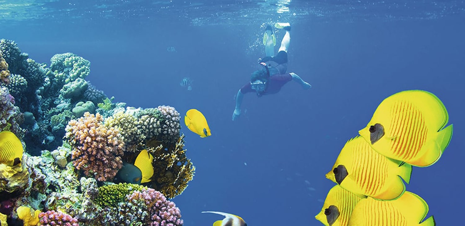 Snorkeling at Mnemba Atoll