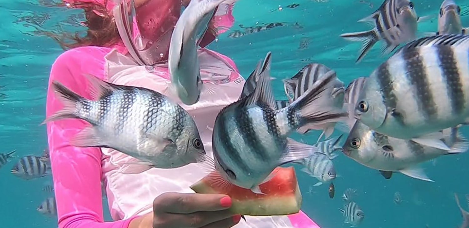 Snorkeling at Mnemba Atoll